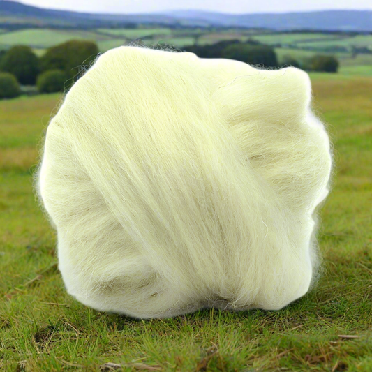 Teeswater natural white