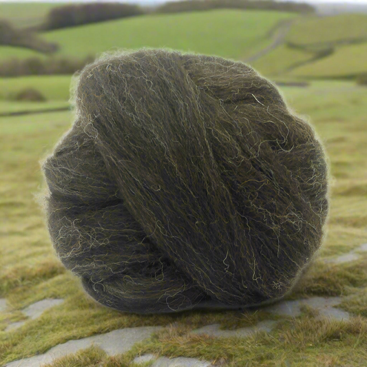 Welsh Mountain natural black