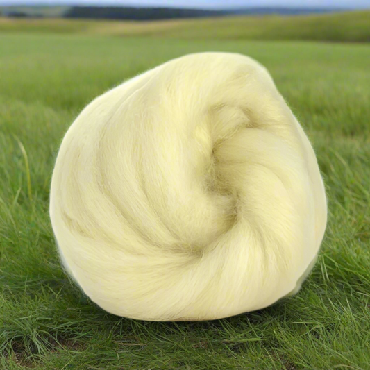 BFL natural white