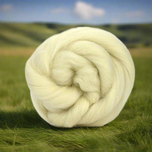 Dorset horn natural white