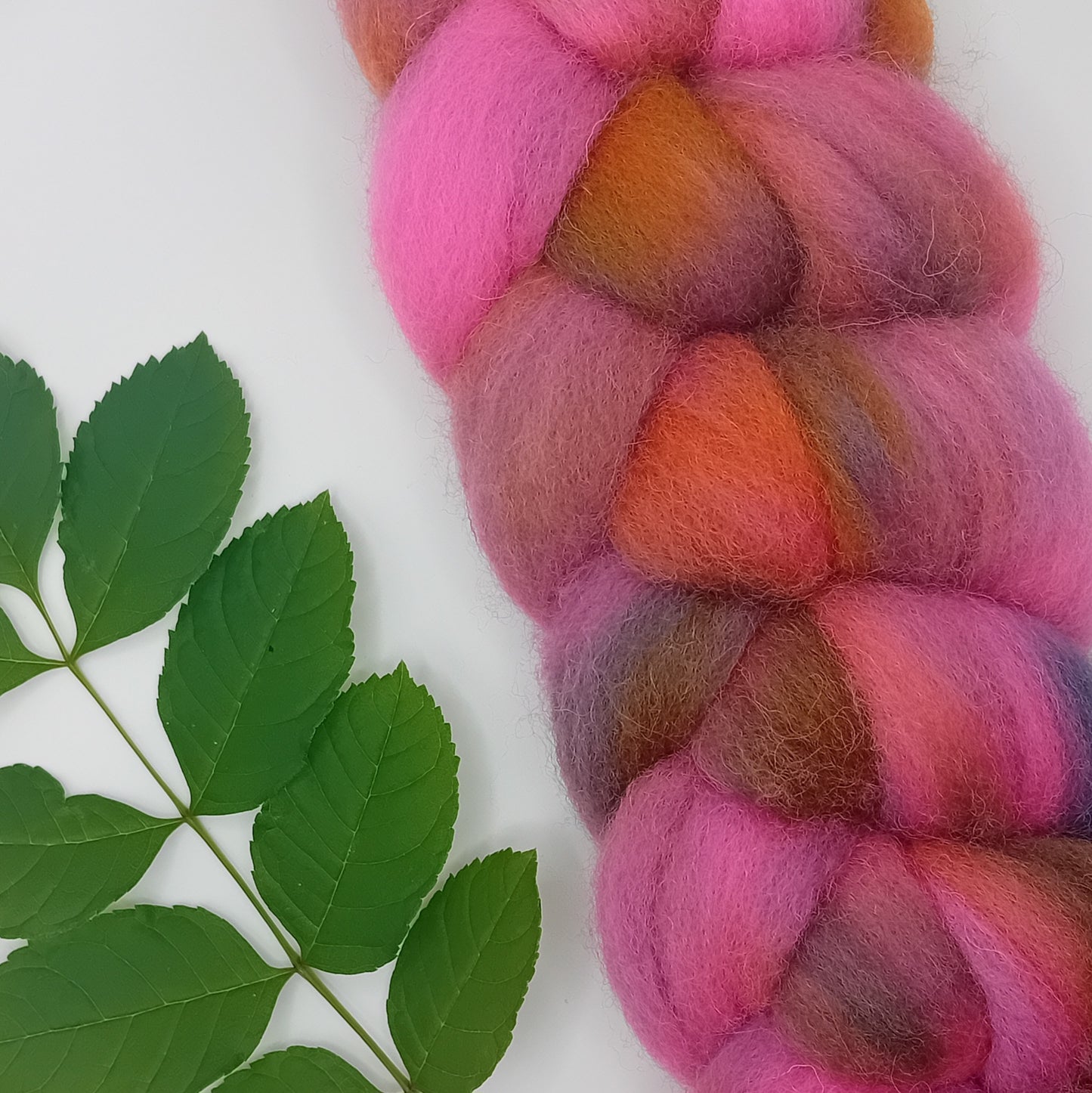 SHETLAND PIXIE