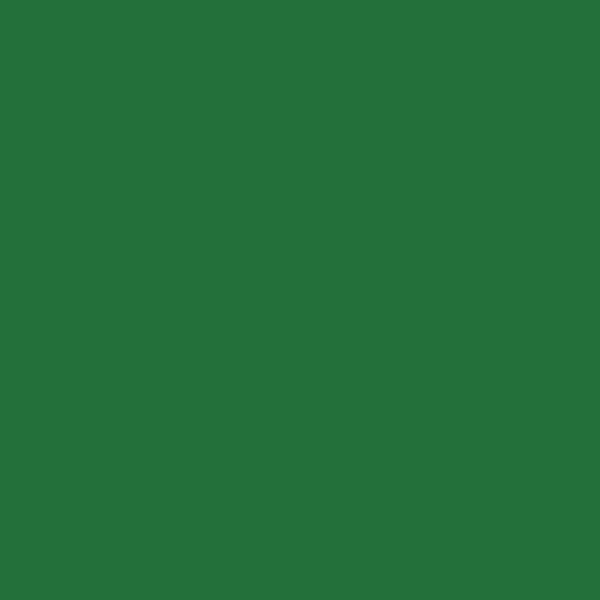 PLUS DYE COLOURS