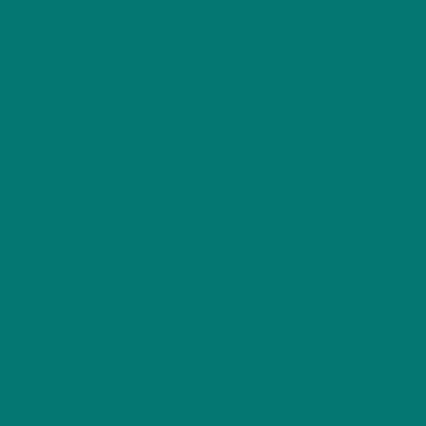 PLUS DYE COLOURS
