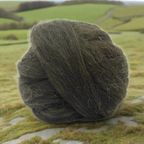 WELSH MOUNTAIN - Natural black