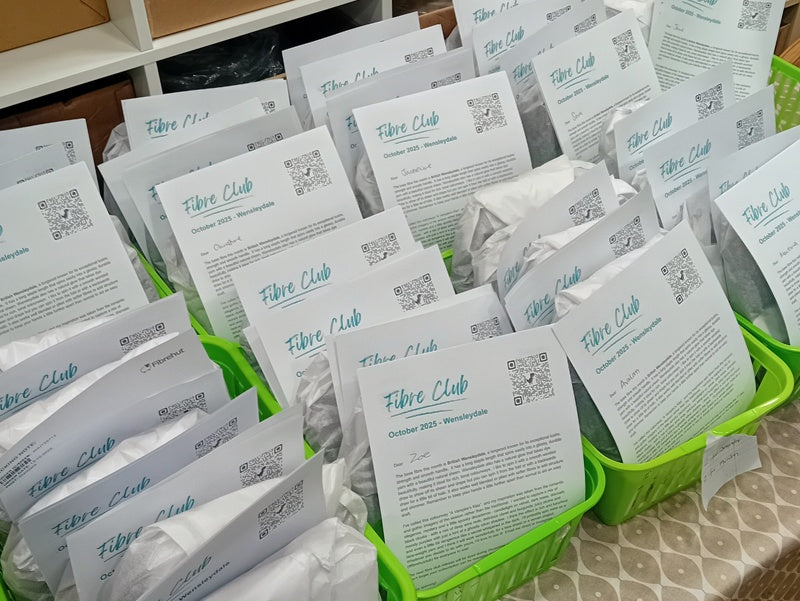 FIBRE CLUB - Hand dyed subscription - 250g