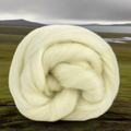 FALKLAND ISLANDS - Natural white