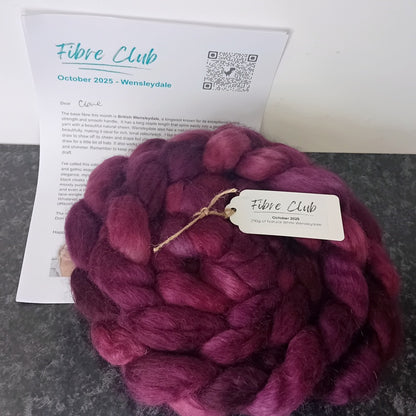 FIBRE CLUB - Hand dyed subscription - 250g