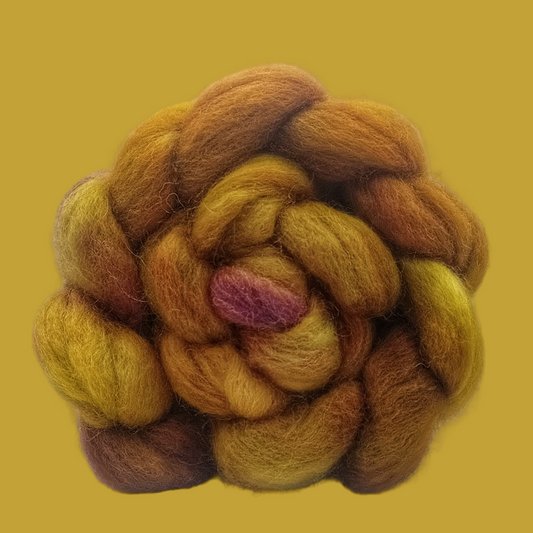 SPICED SAFFRON  (Wensleydale & BFL)