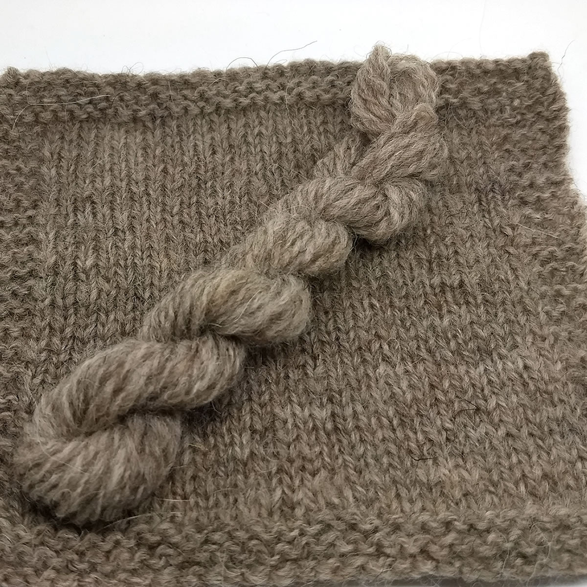 suffolk wool top